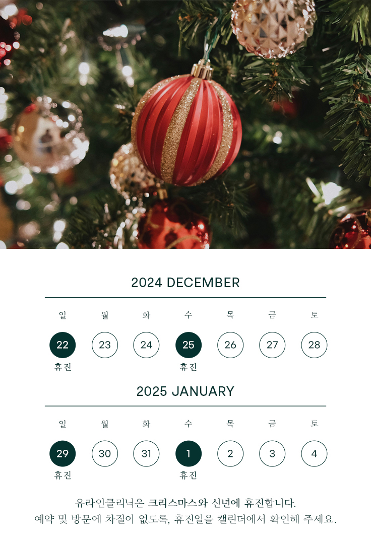 12월,1월 휴진안내